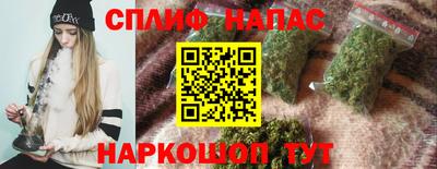 индика Апшеронск