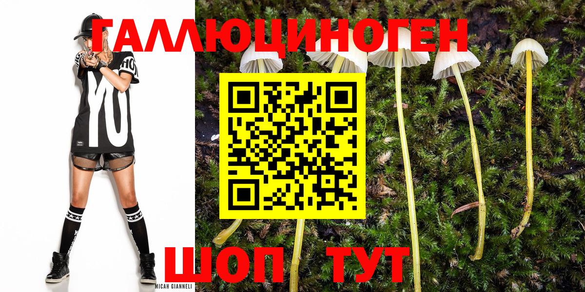 Галлюциногенные грибы мицелий Бор