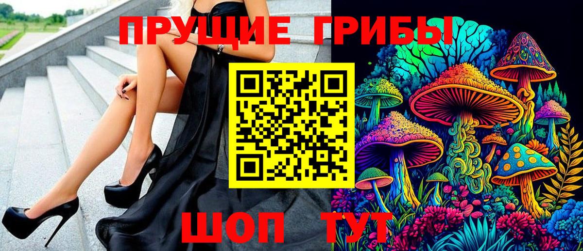 Бор  Псилоцибиновые грибы Psilocybe  Вход с VPN 